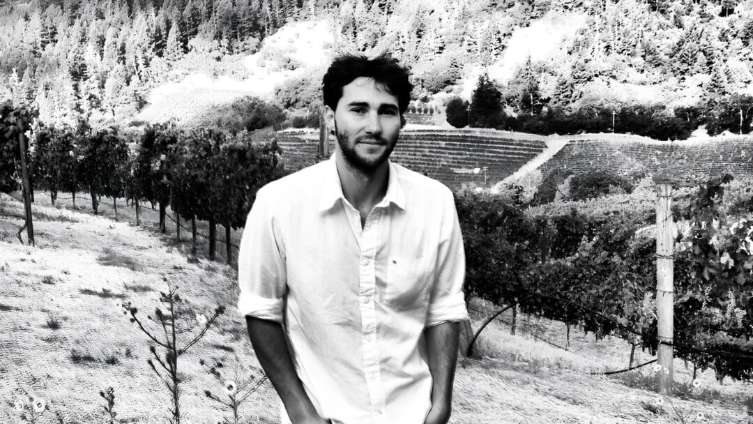 Jericho Canyon Vineyard