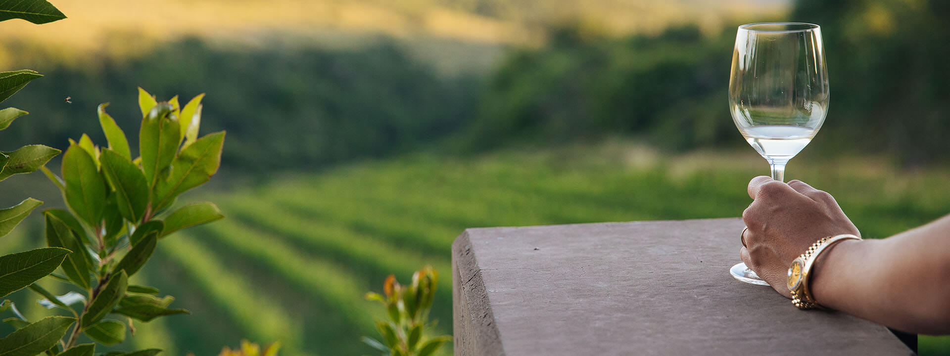 NBA All-Star VIP Weekend