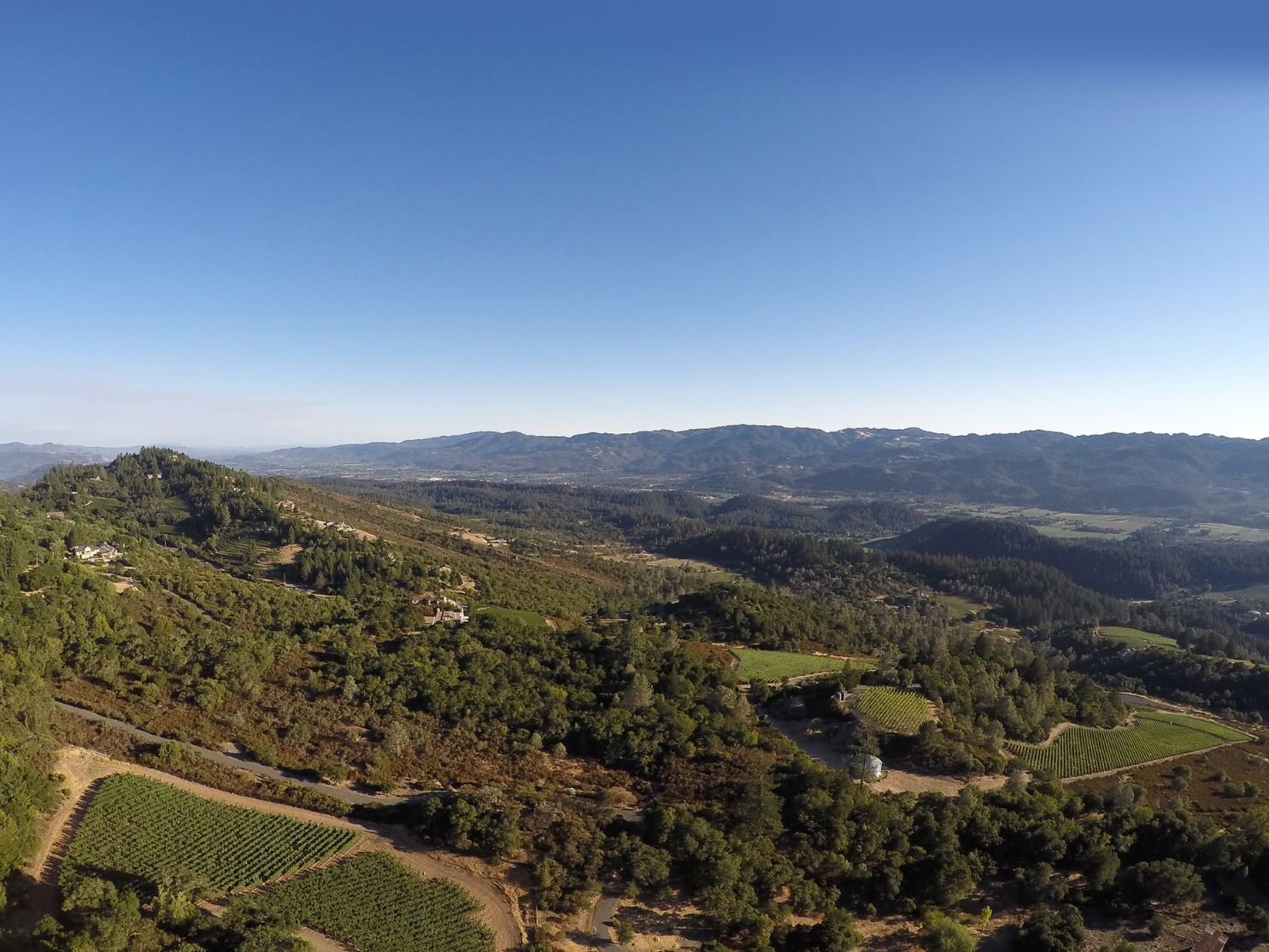 In Conversations with Winemakers: Great Cabernets of Napa Valley
