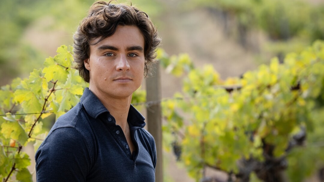 Grace Family Vineyards