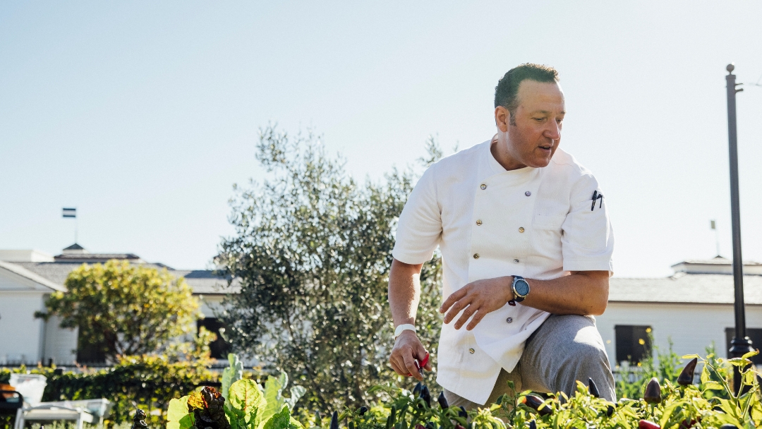 Chef Massimo Falsini