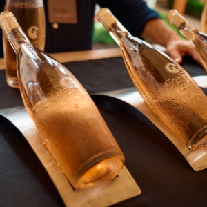 Discover Napa Valley Tasting Pavillion