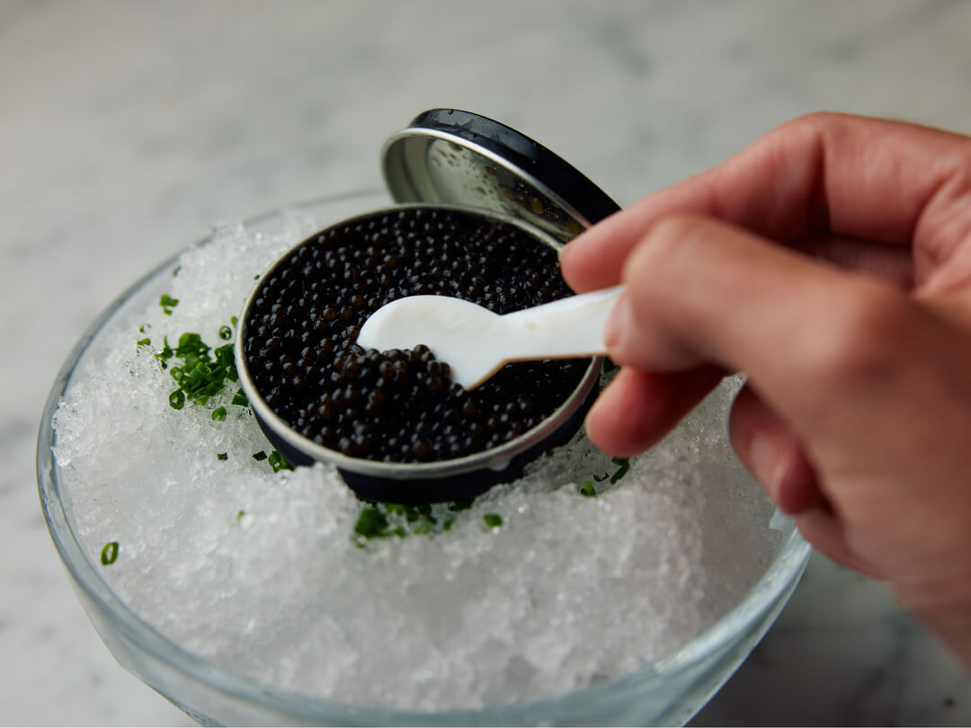 An Ode to Caviar