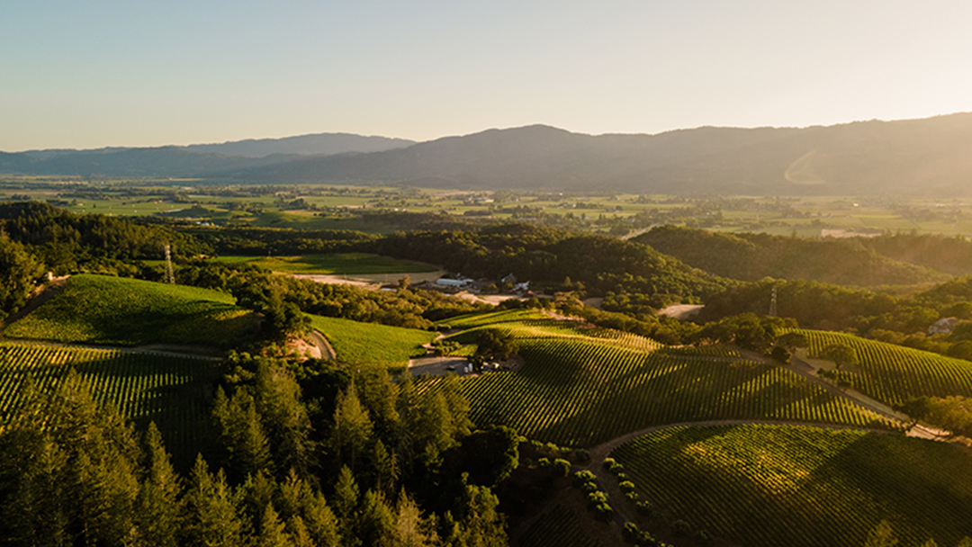 Merryvale Vineyards