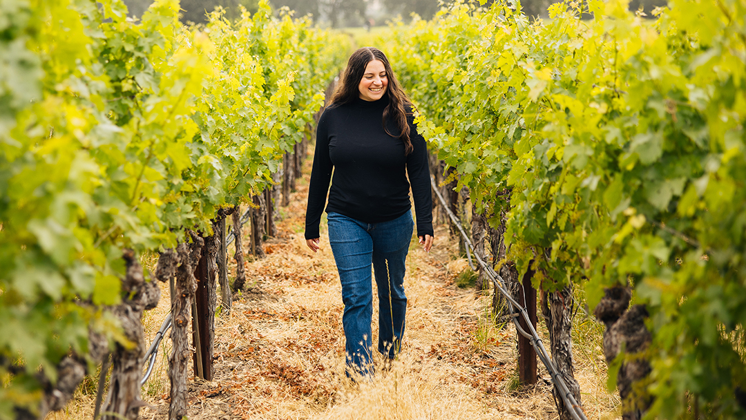 Revana Family Vineyard
